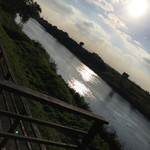 鬼怒川 竹やぶ - 
