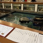 いけす漁場 - 