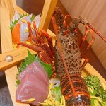 産地直送伊勢海老＆旬魚鮮肉 居酒屋 北の幸 - 胴体の下に伊勢海老のお刺身が並んでいます