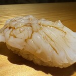 佐野鮨 - 平貝 （追加　◎