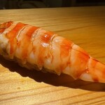 佐野鮨 - 車海老 （追加