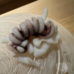 佐野鮨 - 新イカゲソ