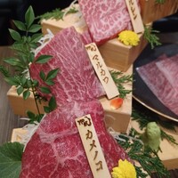 焼肉割烹 YP流 宗右衛門町本店 - 
