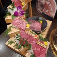焼肉割烹 YP流 宗右衛門町本店 - 