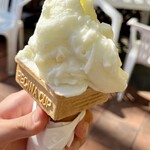 フレスカ - メロン