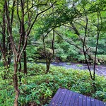 HARVEST NAGAI FARM Karuizawa Ten - 