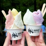 HARVEST NAGAI FARM Karuizawa Ten - 