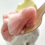 HARVEST NAGAI FARM Karuizawa Ten - 