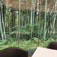 エルルカン・ビス - 