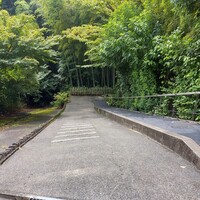 エルルカン・ビス - 