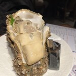 米と魚 さかなさま - 