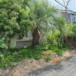 タヴェルナハンバーグ - 