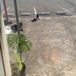 ピッザピッザピッザ - 2014,10,25祝開店1周年