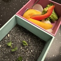 恵比寿ビストロ 猫も杓子も - 