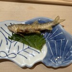 すし屋のまつ勘 - 