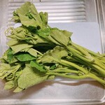 モモ - かぼちゃの葉