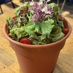 夜景×チーズ肉バル GARDEN - 