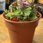 夜景×チーズ肉バル GARDEN - 