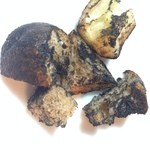 グリドン - 2014年10月：真っ黒ラスク(\220)…しょっぱくてお酒のおつまみみたいです