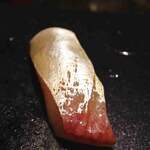 志津鮨 - シマアジ