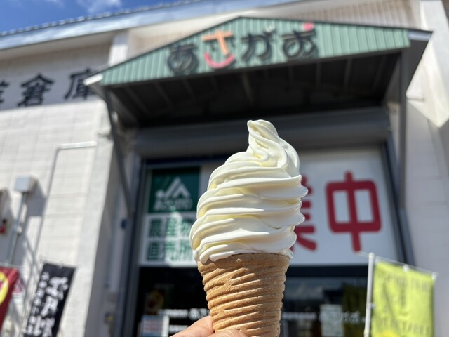 あさがお 神楽店