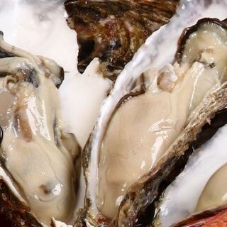 【口いっぱいに広がるクリーミーさ】ぷりっと大ぶり牡蠣もどうぞ