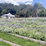 ハーベストの丘 キッチンハウス - 