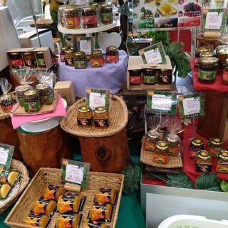 マンゴーの森_1