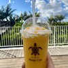 Blue Turtle Farm Mango Cafe