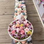 ウェステリア - 