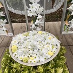 ウェステリア - 