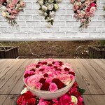 ウェステリア - 