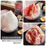 ウェステリア - 