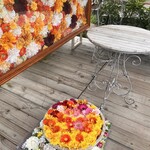 ウェステリア - 