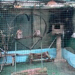 太原 - ふくろう