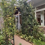 ウェステリア - 