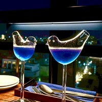 渋谷 Blue bird - 