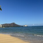 TROPICAL TRIBE - ダイアモンドヘッド