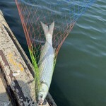 寿司と干物 井 - 