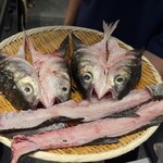 寿司と干物 井 - 