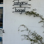コハルベーグル - 