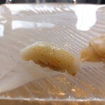 小倉 鮨 まつもと - ヤリイカ