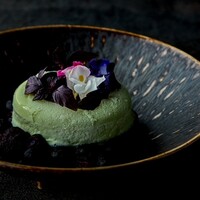 アイスクリーム　サボテン（Ice Cream Nopal）