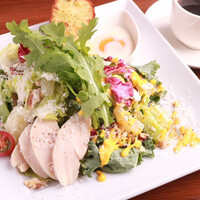 【数量限定】サラダプレートランチ