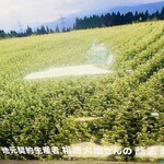 そばや清兵衛 - 