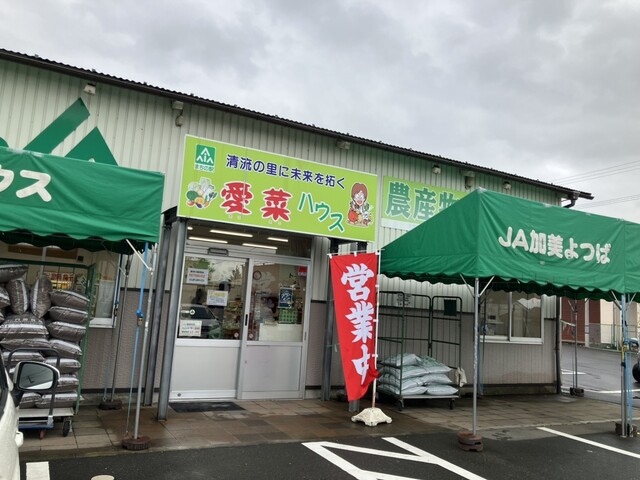 愛菜ハウス（アイサイハウス） - 古川（その他）の写真