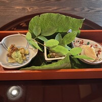 ヒカリヤ ヒガシ - 