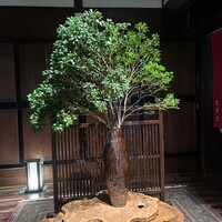 ヒカリヤ ヒガシ - 