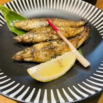 炉端焼き こにこ - 