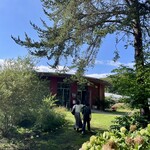 ミンタル  - 快晴の店舗外観